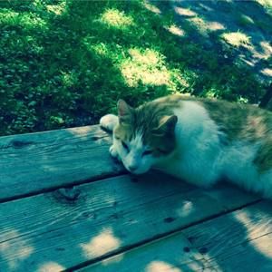 Meet your Posher, Eva